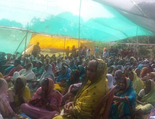 Widows Welfare Sunderban India November 2018